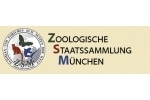 Zoologische Staatssammlung